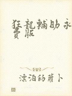 狂龙辅助永久免费版