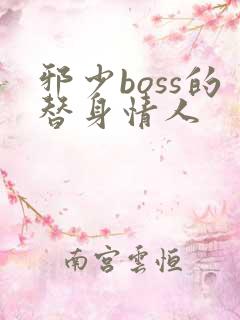 邪少boss的替身情人
