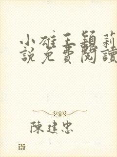 小雄王颖莉的小说免费阅读全文