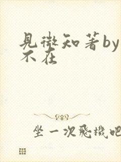 见微知著by音不在