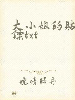 大小姐的贴身保镖txt