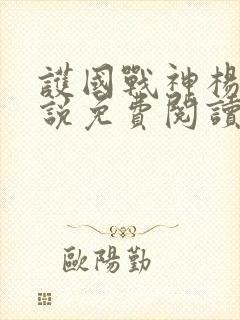 护国战神杨风小说免费阅读