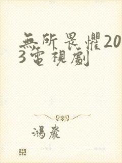 无所畏惧2023电视剧