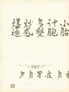 爆炒多汁小美人通感双胞胎燎锋