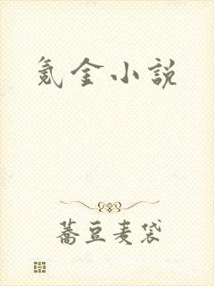 氪金小说