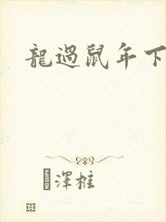龙过鼠年下载