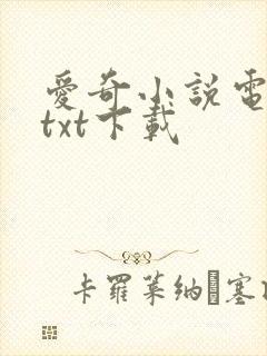 爱奇小说电子书txt下载