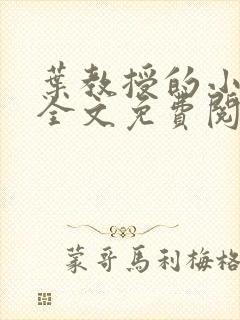 叶教授的小黏糖全文免费阅读