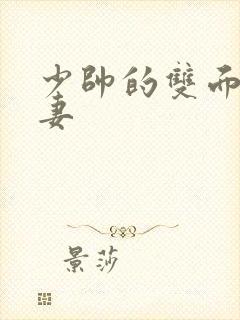 少帅的双面小娇妻