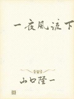 一夜风流下载