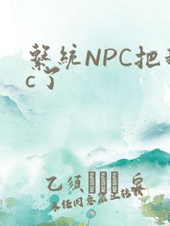 系统NPC把我c了