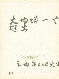 大肉蟒一寸一寸进出