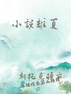 小说离夏