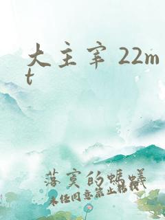 大主宰 22mt