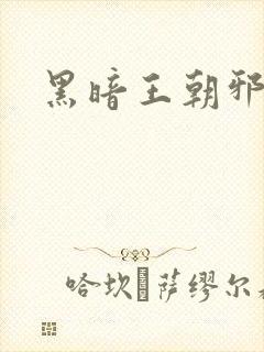 黑暗王朝邪恶版