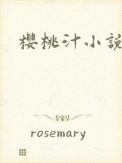 樱桃汁小说