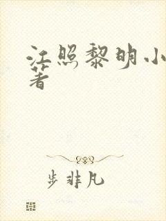 江照黎明小说原著