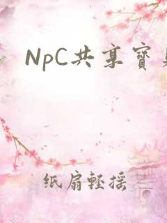 NpC共享宝贝
