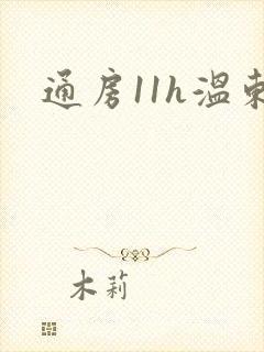通房11h温东