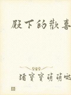 殿下的欢喜冤家