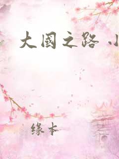 大国之路 小说