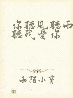 你听风听雨却不听我爱你