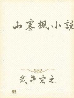 山寨枫小说网