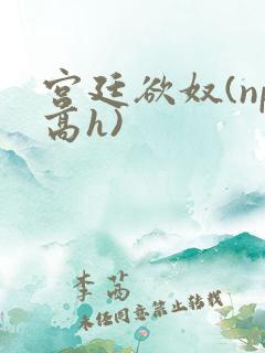 宫廷欲奴(np高h)