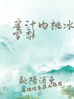 蜜汁肉桃冰糖炖雪梨