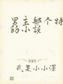 男主那个特别大的小说
