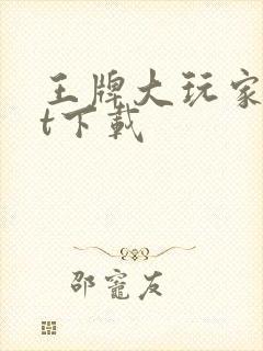 王牌大玩家txt下载