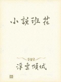 小说班花