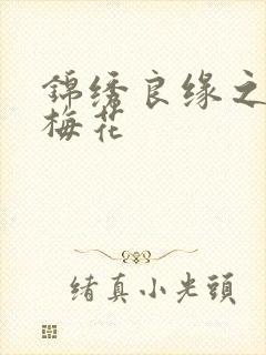 锦绣良缘之驿寄梅花