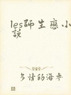 les师生恋小说
