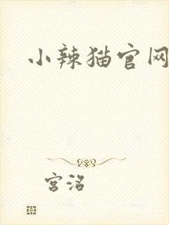 小辣猫官网