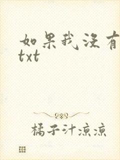 如果我没有爱过txt