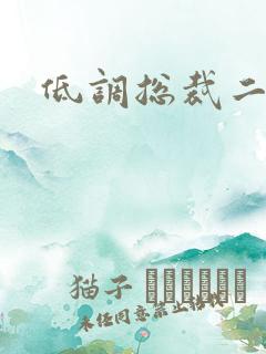 低调总裁二手妻