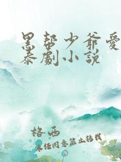 黑帮少爷爱上我泰剧小说