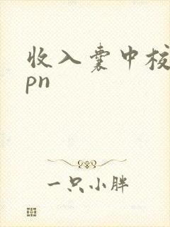 收入囊中校园hpn