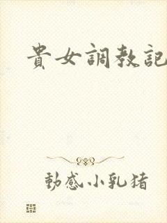 贵女调教记