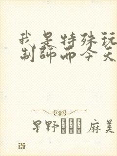 我是特殊玩具定制师而今天的客户