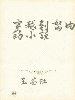 穿越到胬肉系统的小说