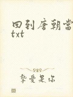 回到唐朝当皇帝txt