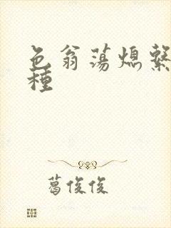 色翁荡熄系列借种