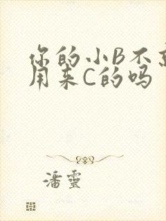 你的小B不就是用来C的吗