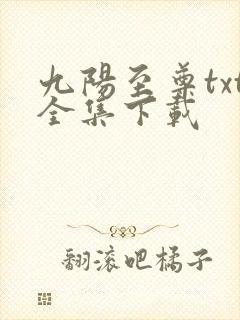九阳至尊txt全集下载