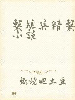 系统集精系统 小说