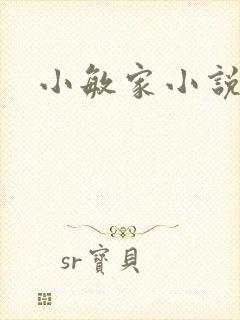 小敏家小说