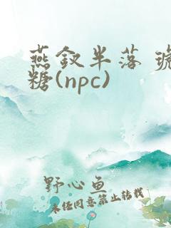 燕钗半落 琥珀糖(npc)