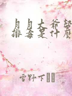 月月大爷帮你排排毒是什么书名